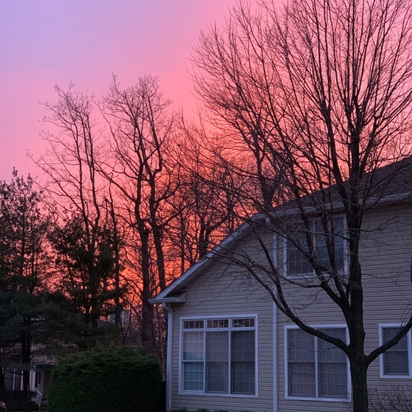 Meet your Posher, Pat - Picture 2 of 11